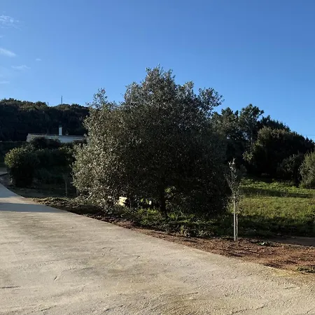 Enjoy Corri Bassu! 5 Min Dal Mare! Holiday home